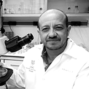 Dr. Alberto Bago